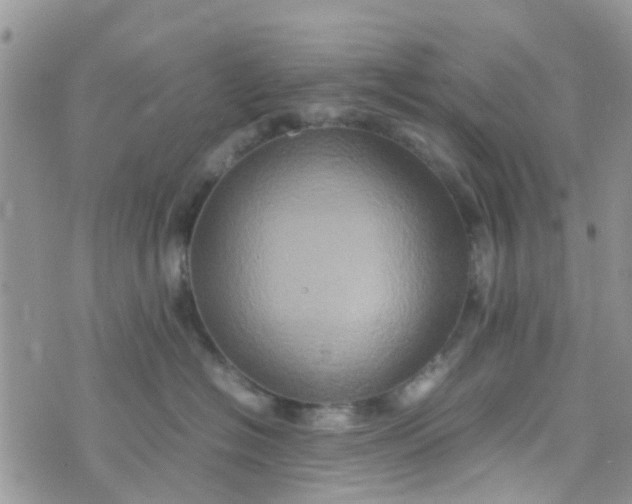 X0000074290574200609151920