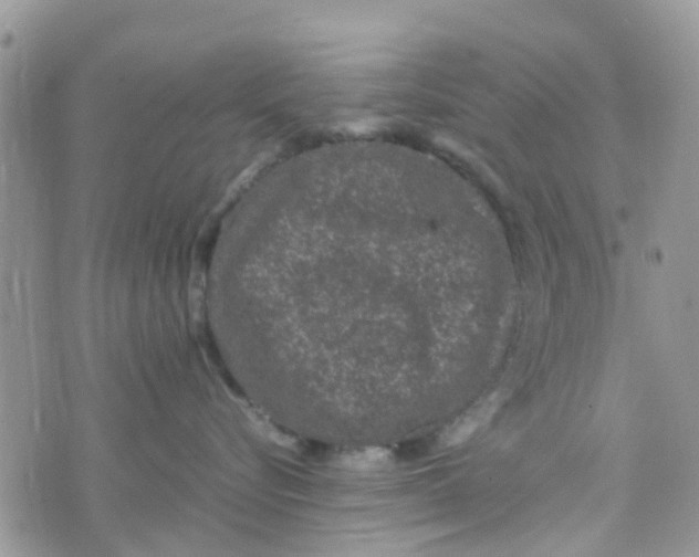 X0000074290576200609151920