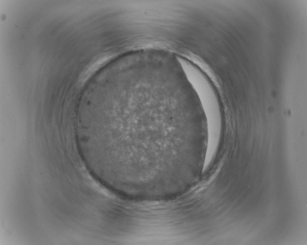 X0000074290577200609151919