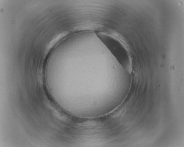 X0000074290578200609151919