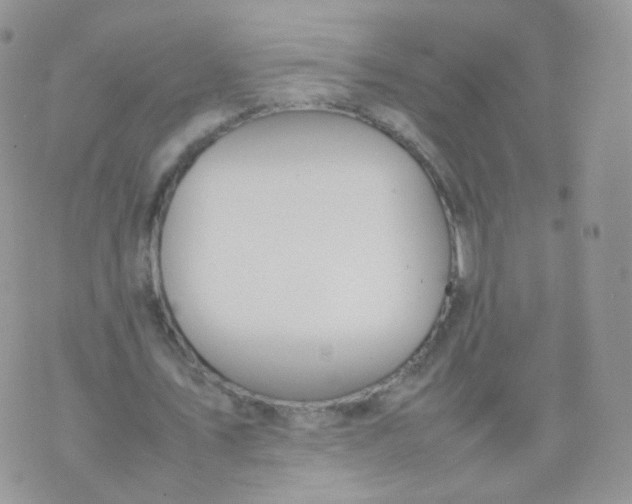 X0000074290579200609151919