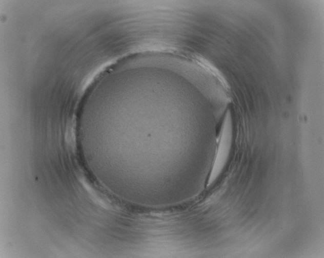 X0000074290580200609151919