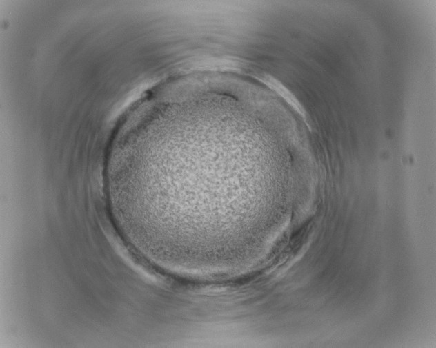 X0000074290581200609151919