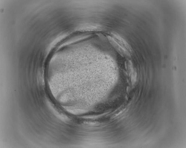 X0000074290582200609151919