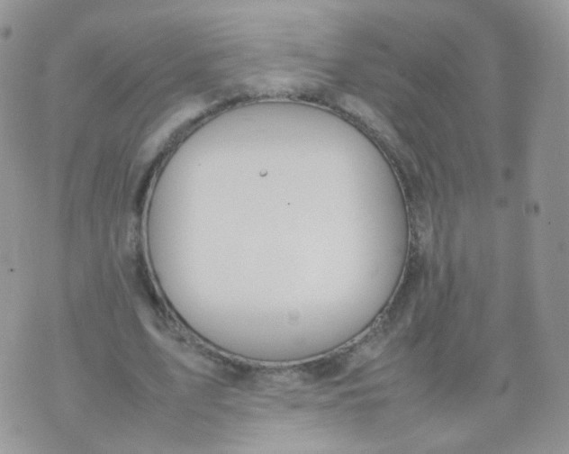 X0000074290583200609151919