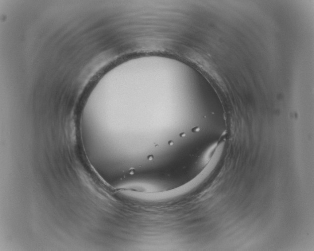 X0000074290584200609151919