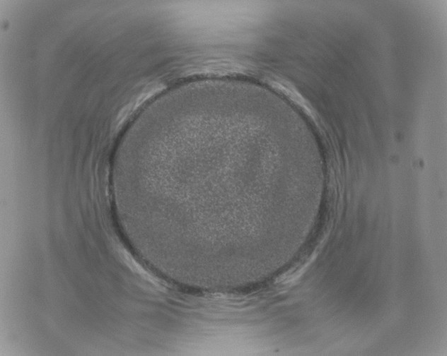 X0000074290585200609151919