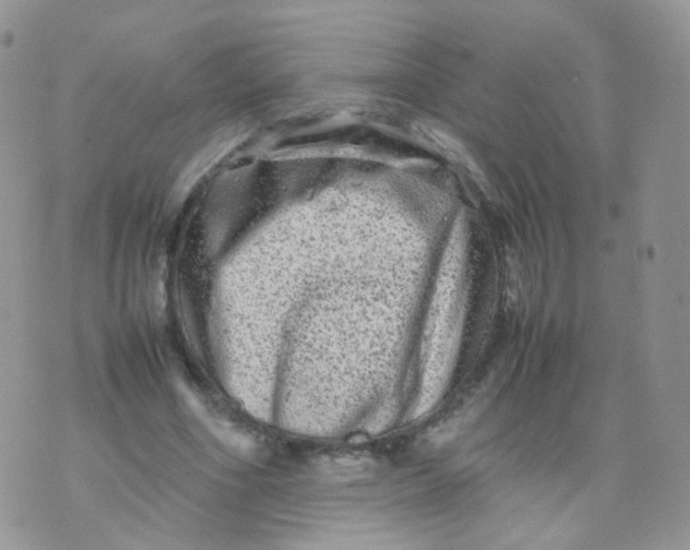 X0000074290586200609151919