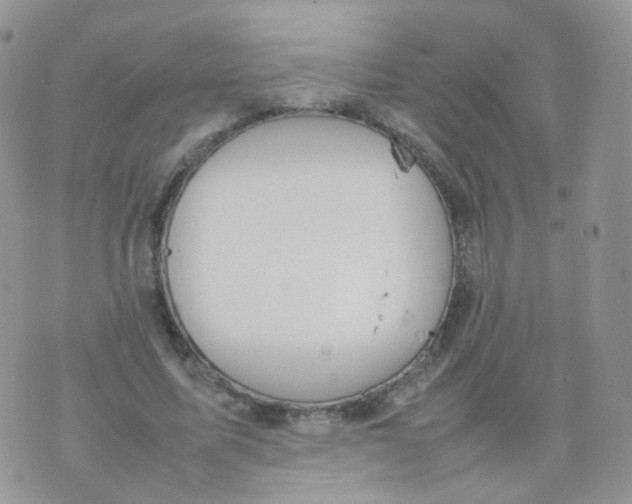 X0000074290587200609151919