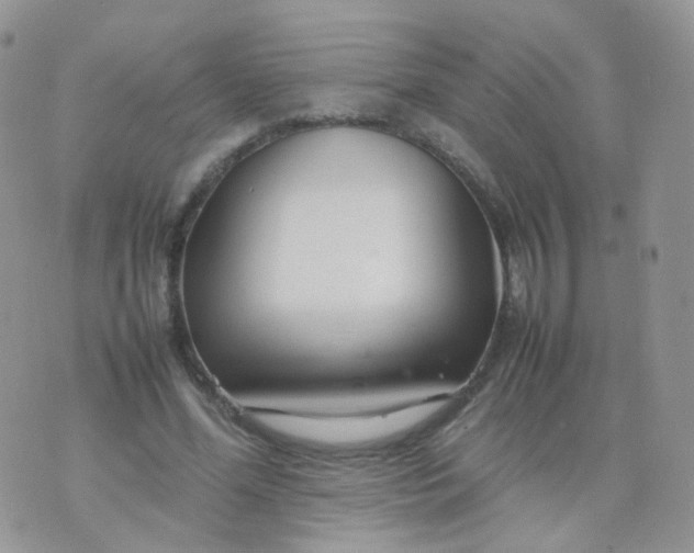 X0000074290588200609151919