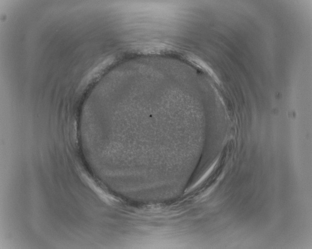 X0000074290589200609151919