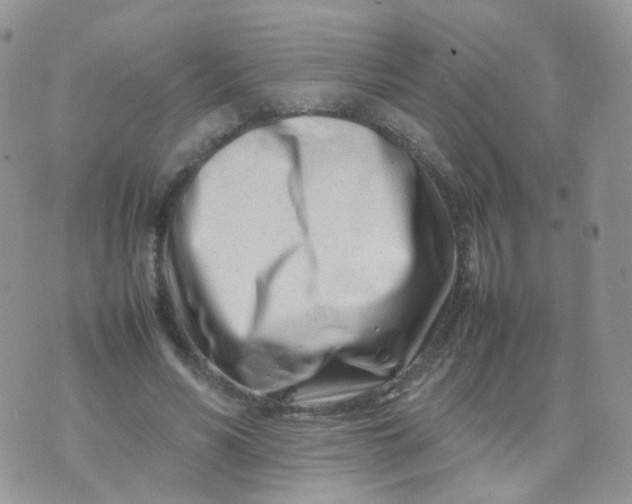 X0000074290590200609151919