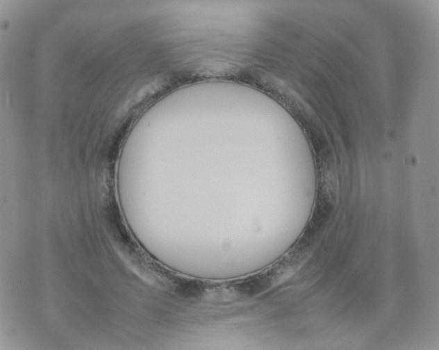 X0000074290591200609151919