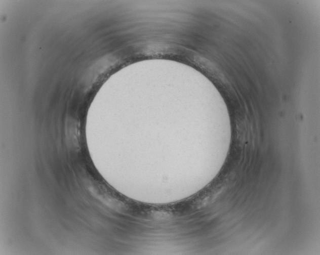 X0000074290592200609151919