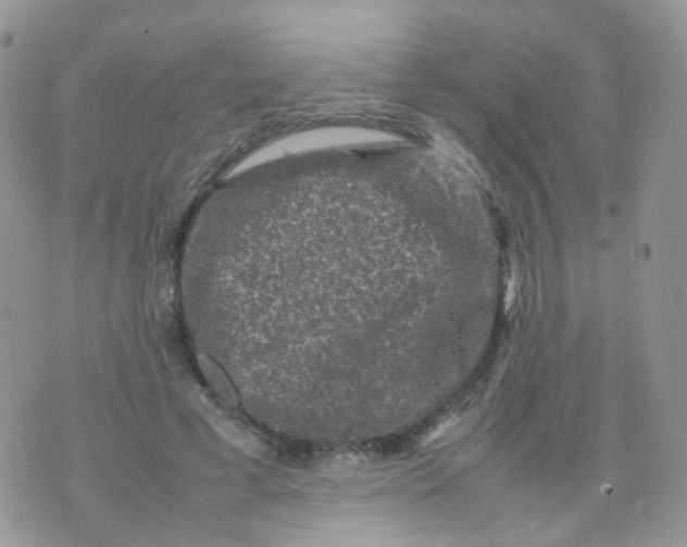 X0000074290593200609151919