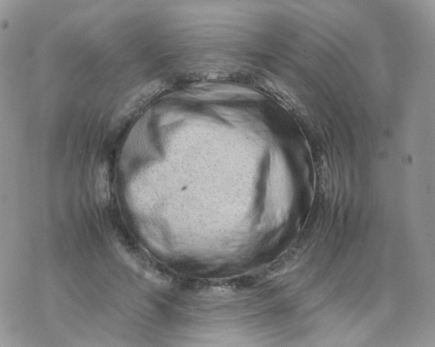 X0000074290594200609151919