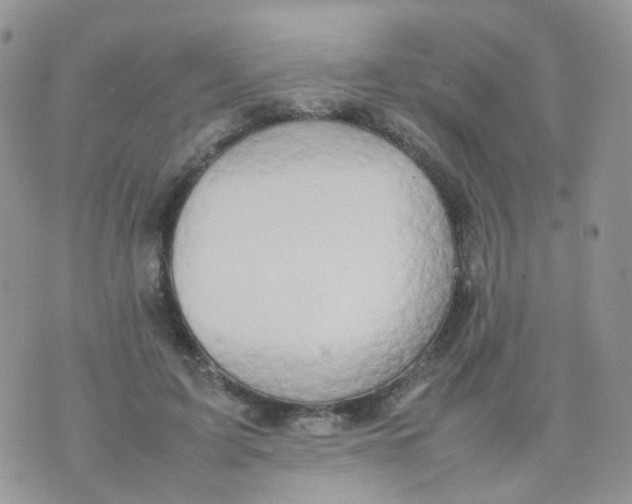 X0000074290595200609151919