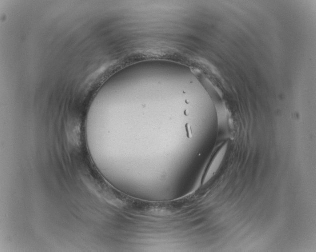 X0000074290596200609151919