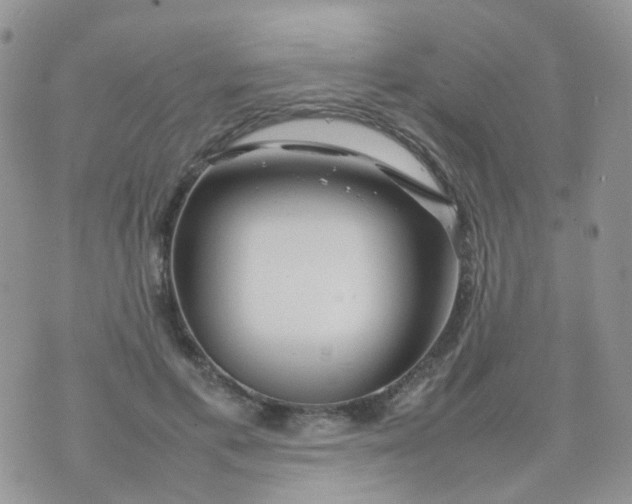 X0000074290597200609151919