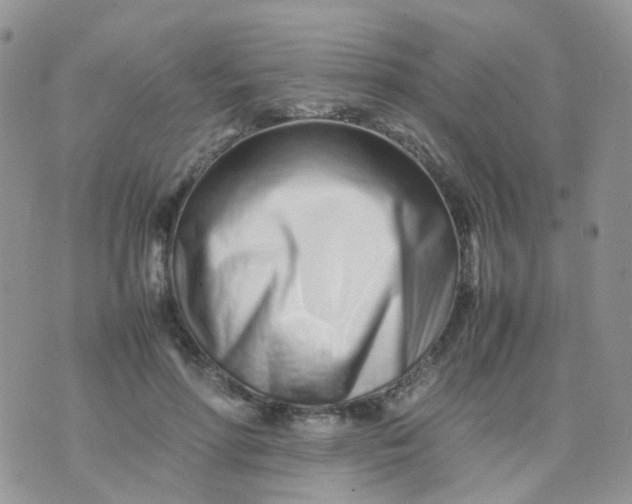 X0000074290598200609151919