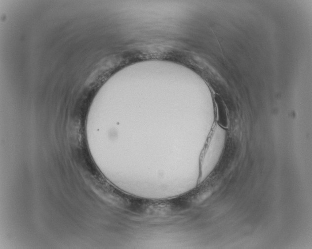 X0000074290599200609151919