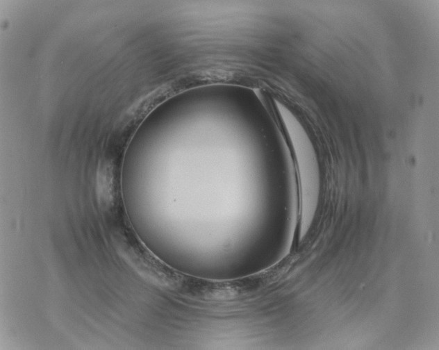 X0000074290600200609151919