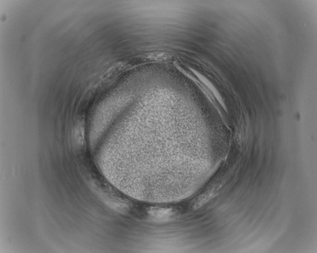 X0000074290602200609151919