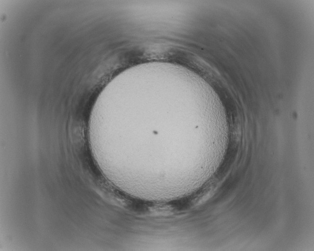 X0000074290603200609151919