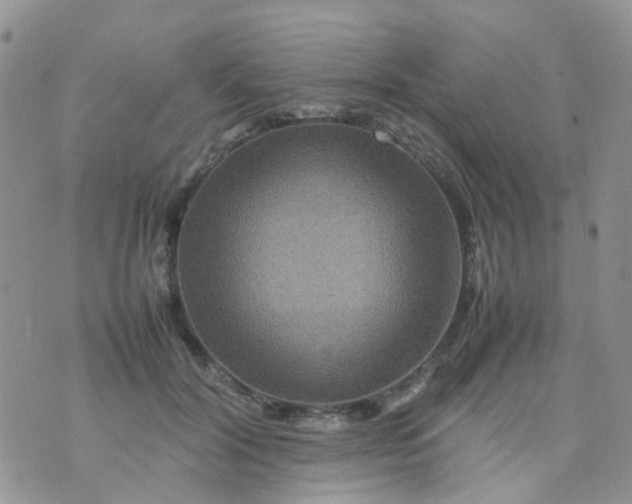 X0000074290604200609151919