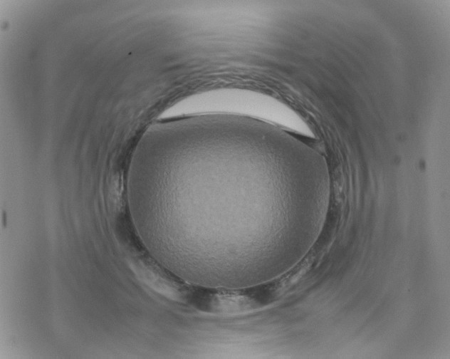 X0000074290605200609151919