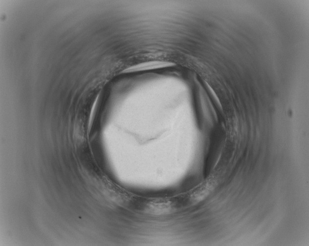 X0000074290606200609151919