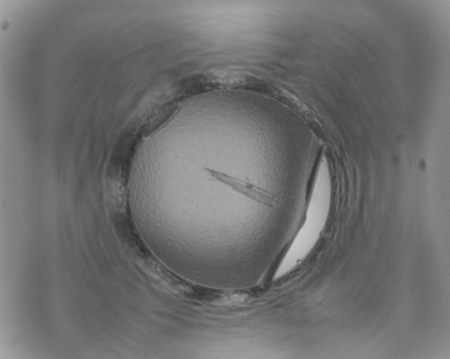 X0000074290609200609151919