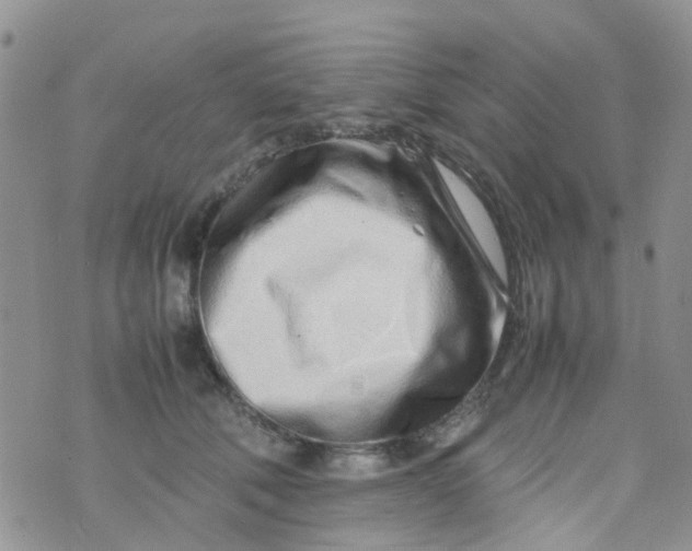 X0000074290610200609151919