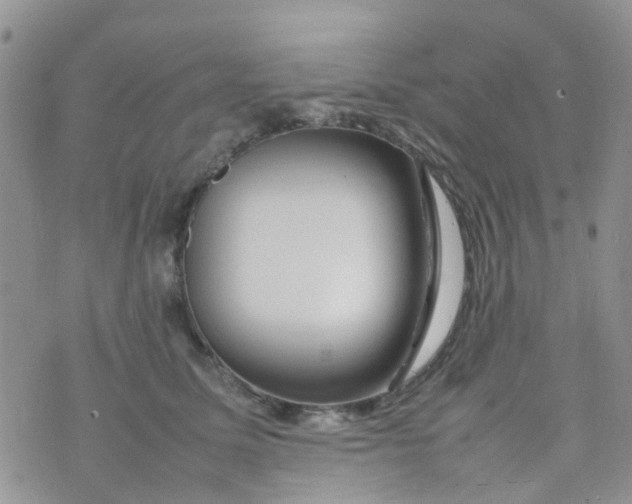 X0000074290611200609151919