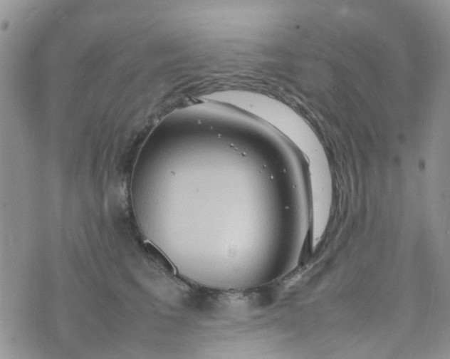 X0000074290613200609151918