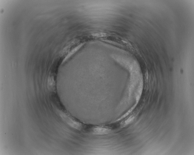 X0000074290614200609151918