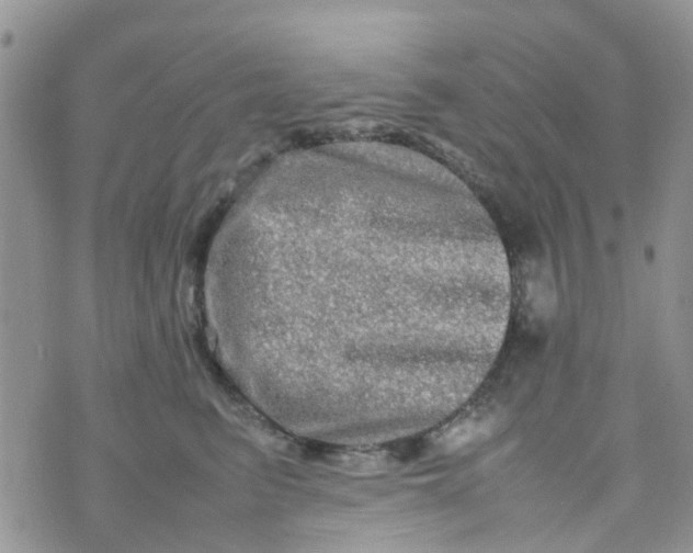 X0000074290615200609151918