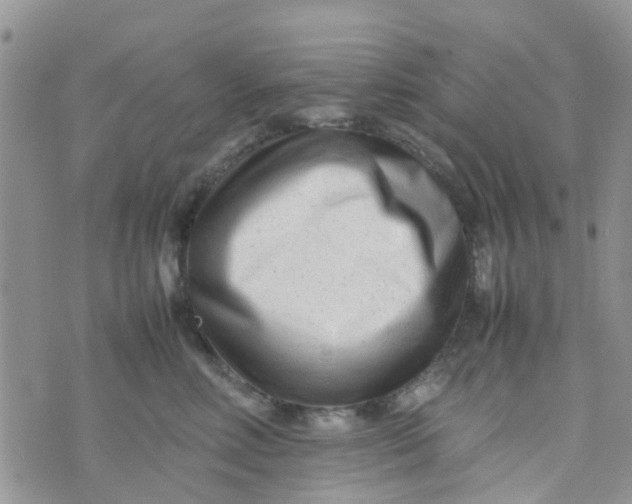 X0000074290618200609151918