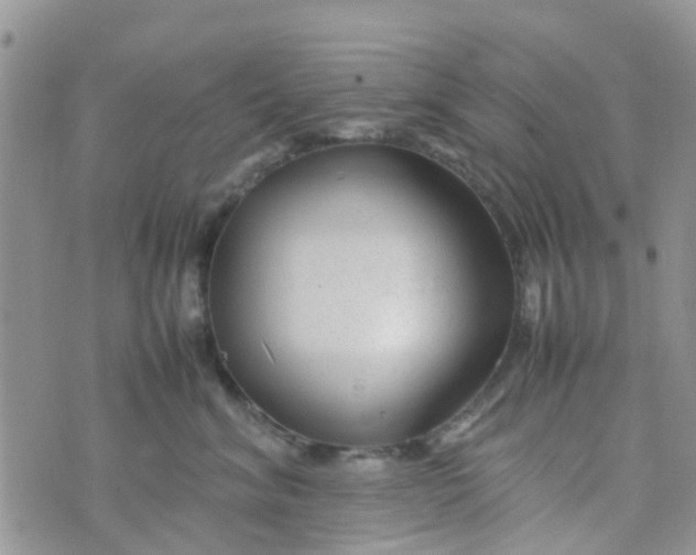 X0000074290620200609151918