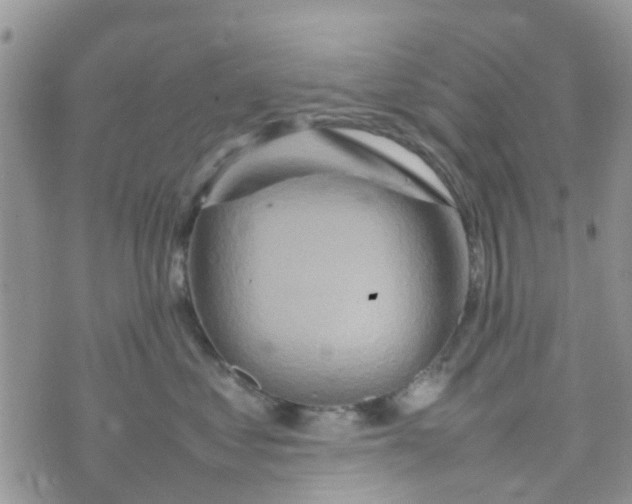 X0000074290621200609151918