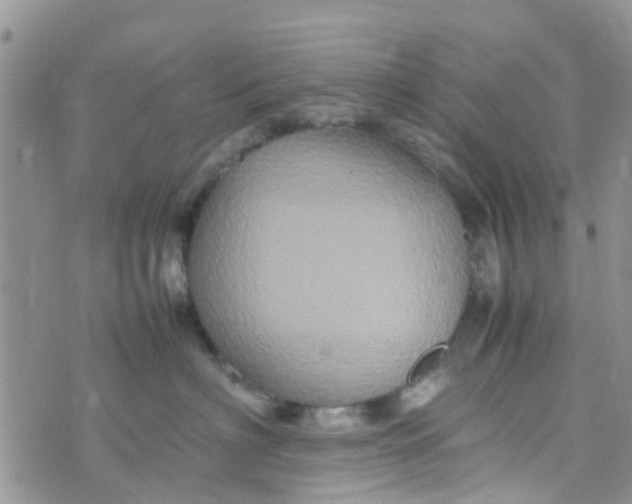 X0000074290622200609151918