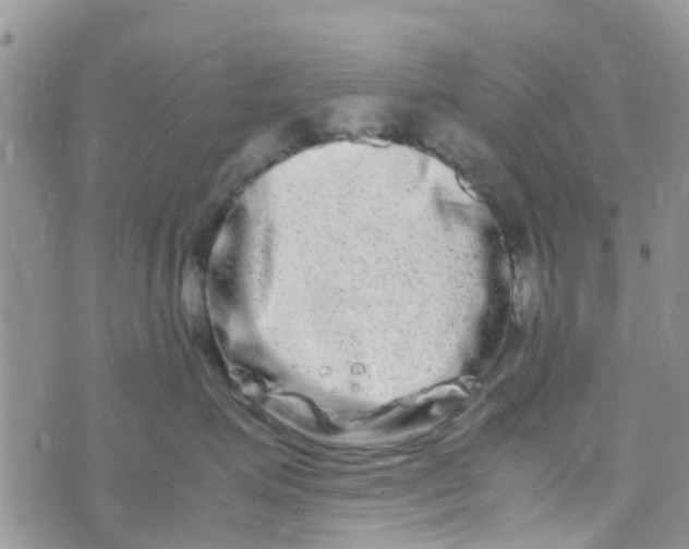 X0000074290623200609151918