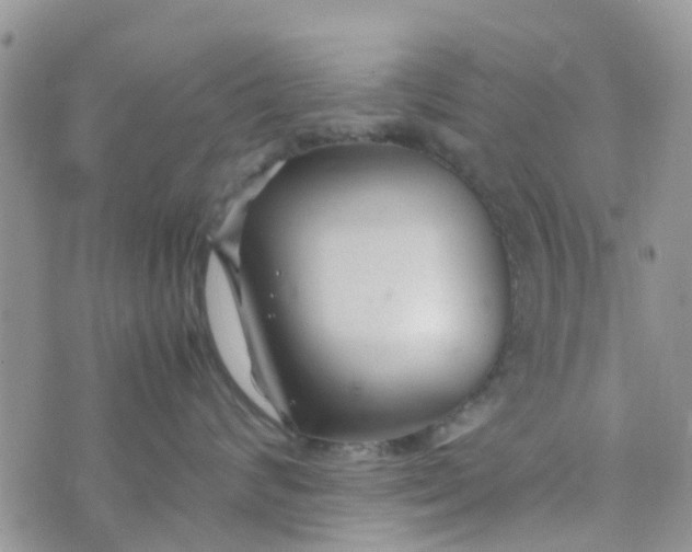 X0000074290624200609151918