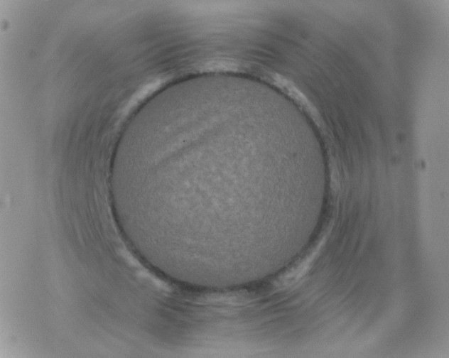 X0000074290625200609151918