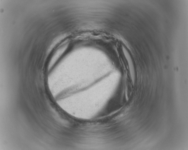 X0000074290626200609151918