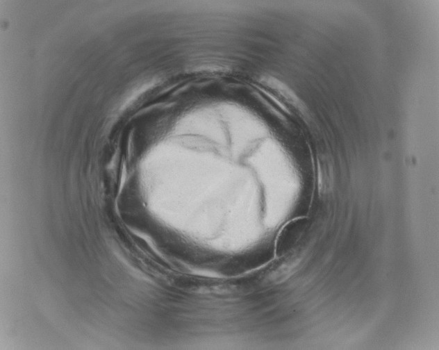 X0000074290627200609151918