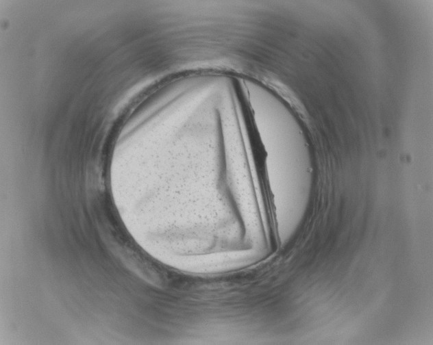 X0000074290628200609151918