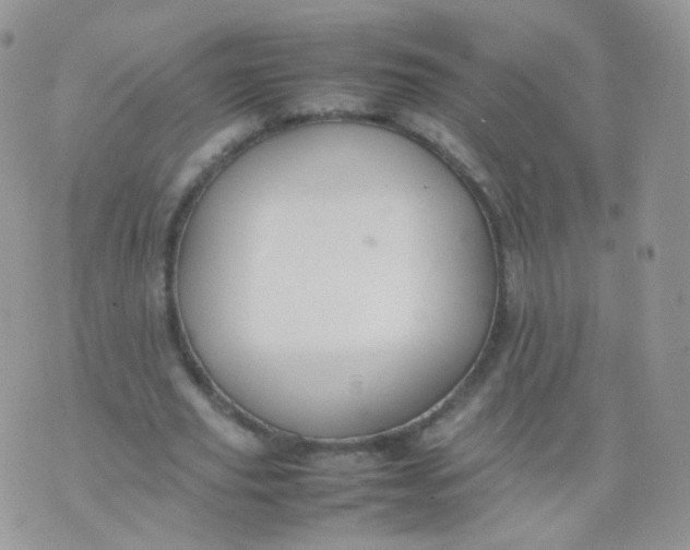 X0000074290629200609151918