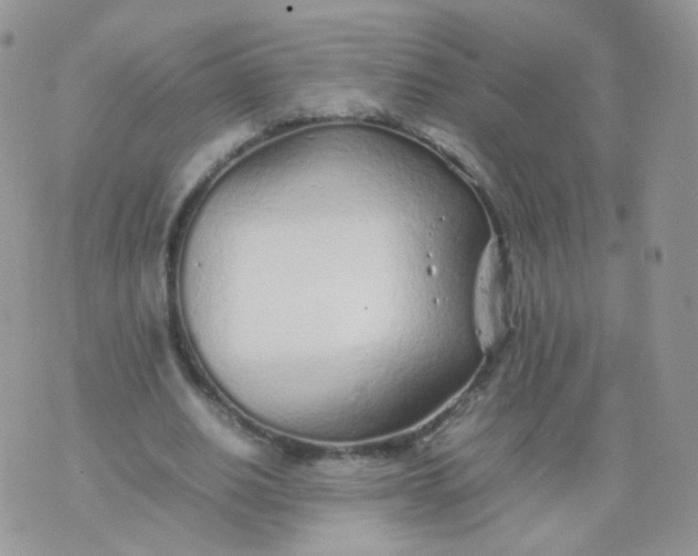 X0000074290630200609151918