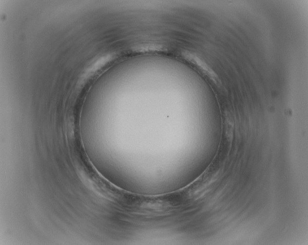 X0000074290631200609151918